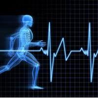 Human Performance for Pilots